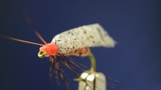 Foam Wing October Caddis  Fly tying lesson video tutorial by Curtis Fry [upl. by Arimas]