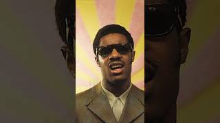 Stevie Wonder Story [upl. by Jacobina]