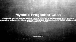 Medical vocabulary What does Myeloid Progenitor Cells mean [upl. by Neslund206]