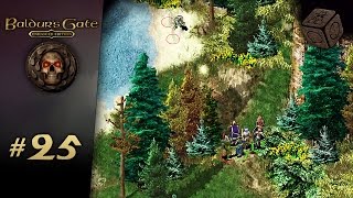 A crucial spell cast  Lets Play Baldurs Gate Enhanced Edition 25 [upl. by Esilahc]