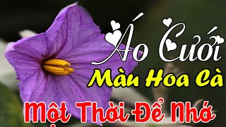 Áo Cưới Màu Hoa Cà  Gia Tiến Nhạc Lính Hay Mê Mẩn 2024Tuyển Chọn Nhạc Tiền Chiến Trước 1975 [upl. by Ryley]