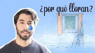 ¿Por qué LLORAN las VENTANAS 😭2 SOLUCIONES para EVITAR la HUMEDAD [upl. by Caines]