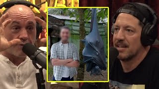 Creepy Human Size Bats  Joe Rogan amp Sal Vulcano [upl. by Ainitsirc]