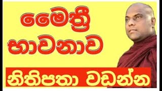 මෛත්රීi භාවනාව  Maithree Bawanawa Galigamuwedam sak maga [upl. by Larimer]