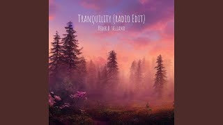 Tranquility Radio Edit [upl. by Allerym39]