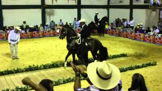 campirano de manzanares campeonato caballos trochadores galoperos [upl. by Peers]