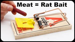 How To Catch More Rats  Why You Should Use Meat As Bait [upl. by Brodie476]