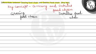 Differentiate between Grazing food chain and Detritus food chain [upl. by Asirrac]