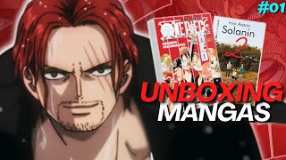 PRIMEIRO DATABOOK DE ONE PIECE  VOLUME DE SOLANIN  UNBOXING 01 [upl. by Fowkes431]