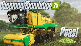 Farming Simulator 25 Peas Blog Update [upl. by Thaxter]