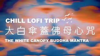 強大靈性力量🌈大白傘蓋佛母心咒❤️The White Canopy Buddha Mantra 30 Minutes✨Chill Lofi Music [upl. by Merat576]