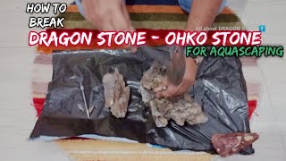 How to break DRAGON STONE for aquascape  OHKO stone LushAqua [upl. by Ennovi]