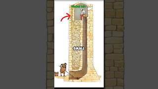 The Medieval Toilets shorts [upl. by Divad]