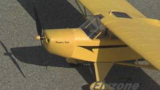 Spotlight Flyzone RC Select Scale Piper Super Cub RxR Plane [upl. by Otero]