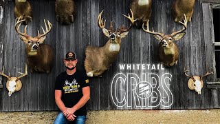 Whitetail Cribs Central Ohio Whitetail Bucks and Hand Crafted Bourbon Bar [upl. by Essiralc]