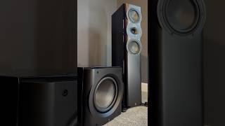 Perlisten R5t paired with the D12s subwoofer [upl. by Alessig119]