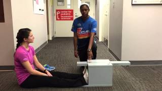 ACSM Sit amp Reach Test [upl. by Nella515]