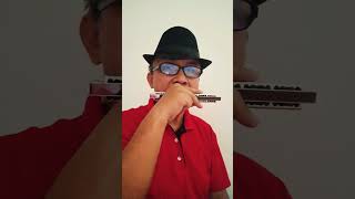 UntiliFoundYou on tremolo harmonica HarmonicaCover youtubeshortsviral youtubeshortsvideo [upl. by Kliment738]