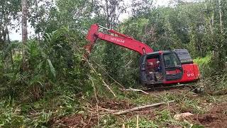 PROSES STACKING PERKEBUNAN KARET [upl. by Nnaear838]