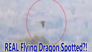 Mysterious Dragon Filmed FLYING Over Moutains in China [upl. by Hagood]