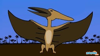 Evolution of the Pterodactylus Image [upl. by Asiuol]