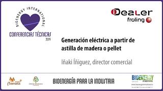 Cogeneración Eléctrica a partir de la Gasificación de astilla de madera o pellet [upl. by Cruce]