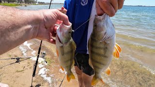 Redfin Heaven Fishing For Big Redfin At Greens Lake With A School Group [upl. by Crosby180]