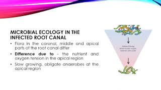 ENDODONTIC MICROBIOLOGY [upl. by Eciram]