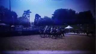 CLIP HORSEBALL JARDY 2014 [upl. by Germana]