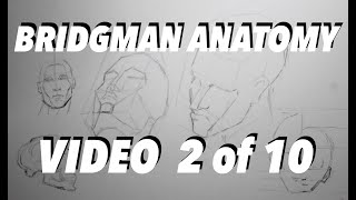 Bridgman Video 2 The Head [upl. by Noillimaxam120]