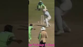 WASIM AKRAM Unplayable YORKERS 1992worldcup cricket [upl. by Celinda]