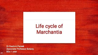 Life Cycle of Marchantia [upl. by Rye]