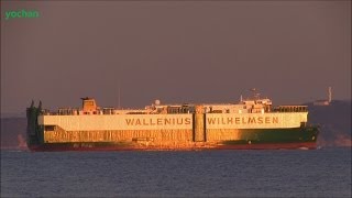 Evening glow Vehicle Carrier ISOLDE Wallenius Wilhelmsen Flag SWEDEN IMO 8321345 [upl. by Seitz608]