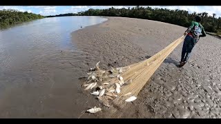 Pesca descomunal de coporo con tarraya visitamos las bocas de el río Casanare [upl. by Gaylord504]