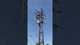 bollywood repairman electrician electrician electrician bollywoodsongs movie [upl. by Afatsuom205]