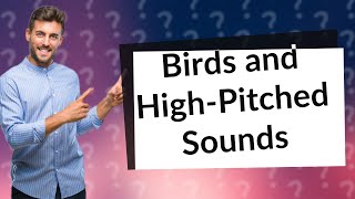 Do high pitched sounds bother birds [upl. by Licha541]