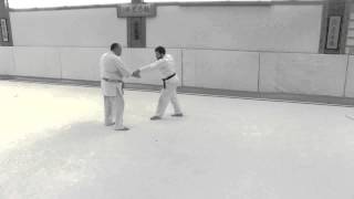 Aikido Release Chain Number 5 6 7 and 8 [upl. by Atteinotna]