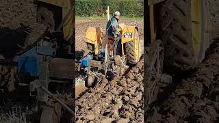 Fordson Model N at the Salopian Ploughing Match  Uffington  Sunday 29th October 2023 ploughing [upl. by Westerfield594]