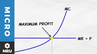 Maximizing Profit Under Competition [upl. by Eelyk102]