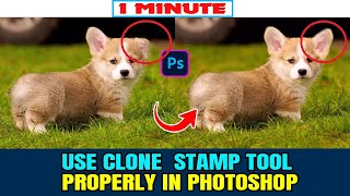 How to use clone stamp tool properly in photoshop 2024 [upl. by Hairahcez]