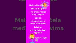 BIBLIJA GOVORI 🙏 bog biblija isus shortsanity vjera energija shorts viralshorts trending [upl. by Neenad629]