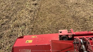 Flail Mower as a food plot cultipacker [upl. by Shaer]