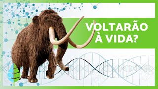 5 ANIMAIS EXTINTOS QUE PODEM VOLTAR À VIDA muito em breve 🦣🦤 Os cientistas vão revivêlos [upl. by Tahp]