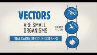 WHO Vector borne disease animation WHD2014 [upl. by Schroder]