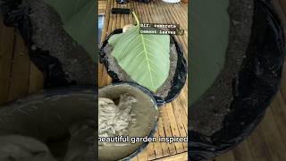 Diy concrete cement leaves make you own farmactivities diy natureinspired [upl. by Kablesh121]