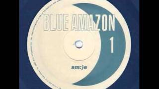 Blue Amazon  No Other Love Edge Factor Acid Remix [upl. by Sarson595]