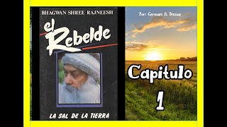 AUDIOLIBRO EL REBELDE CAP 1 [upl. by Inig]