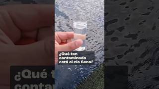 ¿Qué tan contaminado está el Río Sena [upl. by Anaerb501]