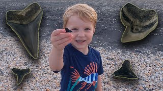 How to Find Shark Teeth on Floridas Southeast Coast Beaches Jupiter amp Juno Beach [upl. by Oriaj]