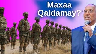 SOMALİLAND MAXAA KA QALDAMAY [upl. by Siaht]